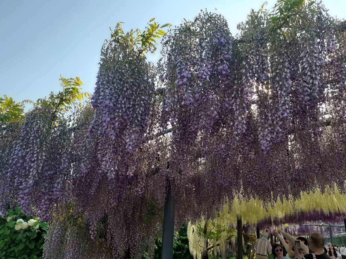 世界中を庭のように優雅に遊ぶ方法