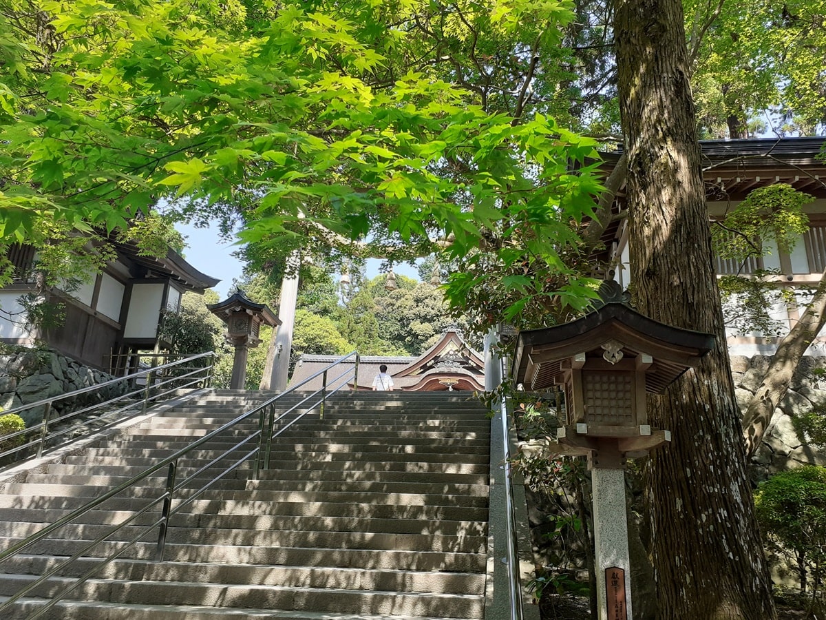 世界中を庭のように優雅に遊ぶ方法